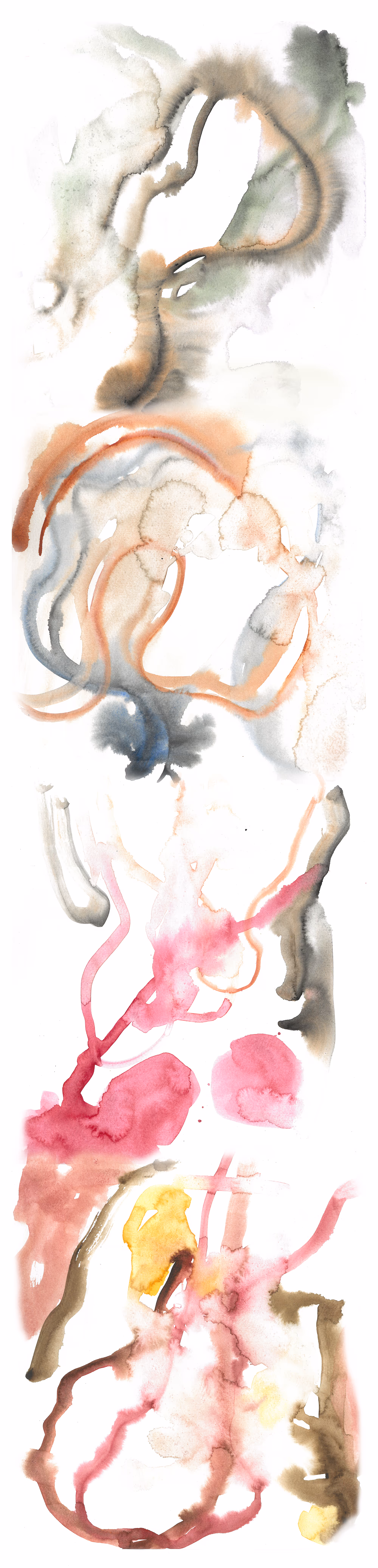 A longform image that is scrollable onscreen. The image is formed of several watercolour drawings compiled together to run continuously. The watercolour formation sprawls across the frame in multiple directions with pools of negative space. The colours shift as you scroll down and words are typed in a deep rich purple-brown serif font, scattered sporadically throughout the image and finishing after the watercolours have ended (at “cosmic forces”). Occasionally when the type intersects with certain watercolour hues the type shows up with a blue tinge.
The colours of the watercolour start as a loop of stained black, merging into pale oranges, greens and more touches of black. The next section has several arcs of burnt orange brushstrokes from left to right seeping upwards into each other and underlaid by two deep indigo blue brushstrokes that start broad and amorphous at the lower end and trail off into wiggles around the burnt orange. The third section continues a thin sinuous line of burnt orange largely obscured by trails of a rich pink to the left with a soft loop of murky grey-green and to the right a bigger swathe of grey-green down towards a circle of softer pink next to a bigger expanse of pink coming from the left lower corner. The final section is a mix of pale peachy pink in the top left corner and down the right side, a small smudge of golden yellow towards the middle top and several looped and squiggled lines of khaki green and the same pale peachy pink and rich pink from the previous section. 
The text throughout reads as follows. Each comma denotes a shift to another line in the image and a forward slash denotes phrases on the same line spaced apart rather than grammar used by the artist. Brackets artists own. 
“between shores, tidalectic, out of body, into mind, stretch, away, run inside, hide, cut, becoming, skin peels forwards, head leans back, jaw creaks/leak, holding place, space, body still, abandoned, resonating, choke, throat, flows over, gargle, flesh, piling, heaping, folds, skin/oil/earth, mask dripping, slips, (vibrating bone), cells scream, silently, blood rushes through, tunnelling down, as they go up, breaking out, free, (free from the whiff of the gone bad thing, the rotting precedes the jolt), sweaty folds, quivering humms, (slump), deep within the cracks, rank, expand, distance falling, she falls, up, retreat, foul memory, split, shadow body, long drift, above, overwhelm, feel tongue, toes press, cold, sour, soft, come back, to substrate, glide with the eclipse, hold the darkness, brace for light, pull deep, in the/air, stars, n, cosmic forces, (exhale distance), spirit settles/back, rib over hip, over heap”